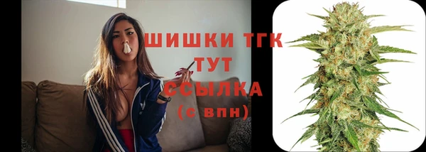 СК Бронницы