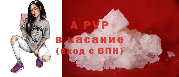 СК Бронницы