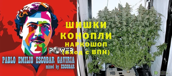 PSILOCYBIN Верхний Тагил