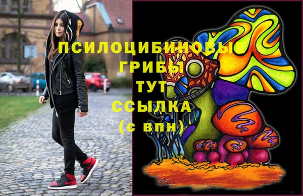 молекула духа Верея