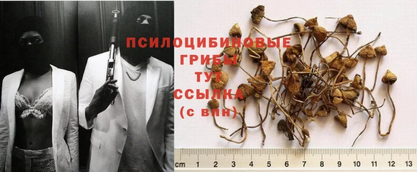 МДПВ Бородино