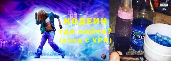 МДПВ Бородино