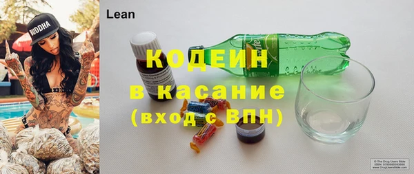МДПВ Бородино